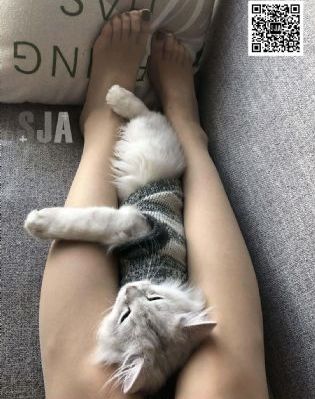 谎言的诱惑电视剧