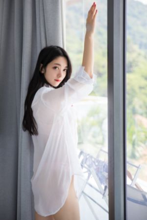 再见完美结局