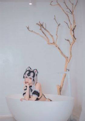 明亮星星 电视剧